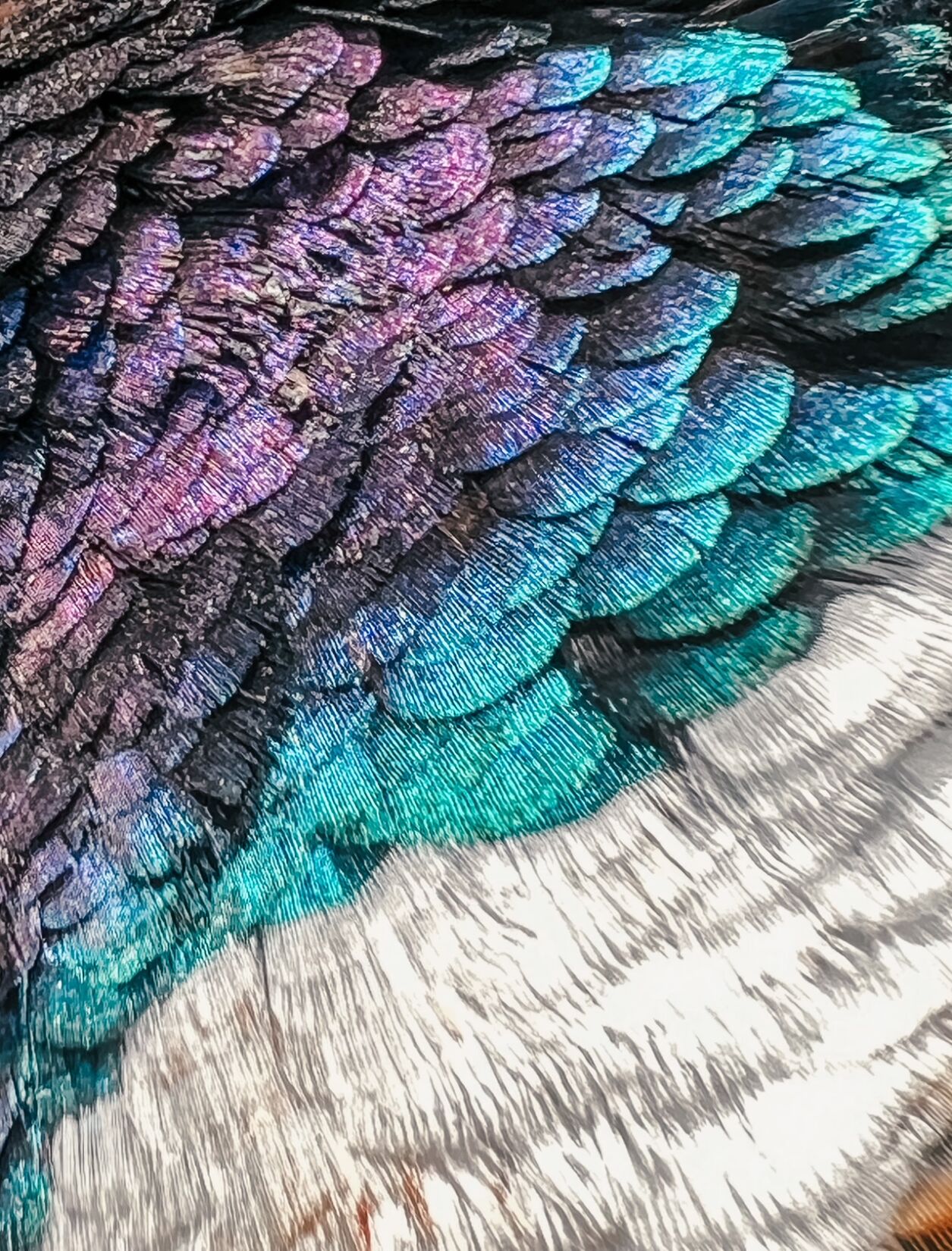 Colorful patterns